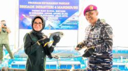 Dorong Penguatan Sinergi Pembangunan, Bupati Pesawaran Sambangi Brigif 4 Marinir/BS Piabung
